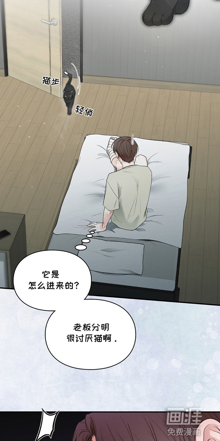 第8章：小黑猫