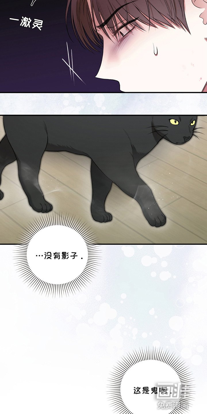 第8章：小黑猫