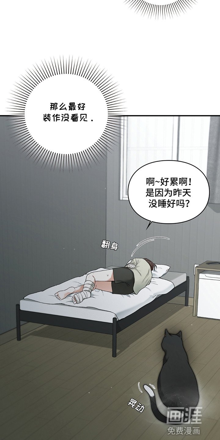 第8章：小黑猫