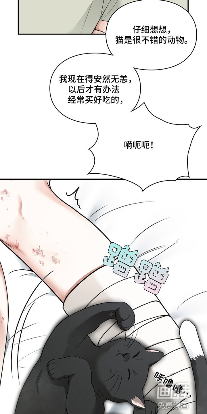 第8章：小黑猫