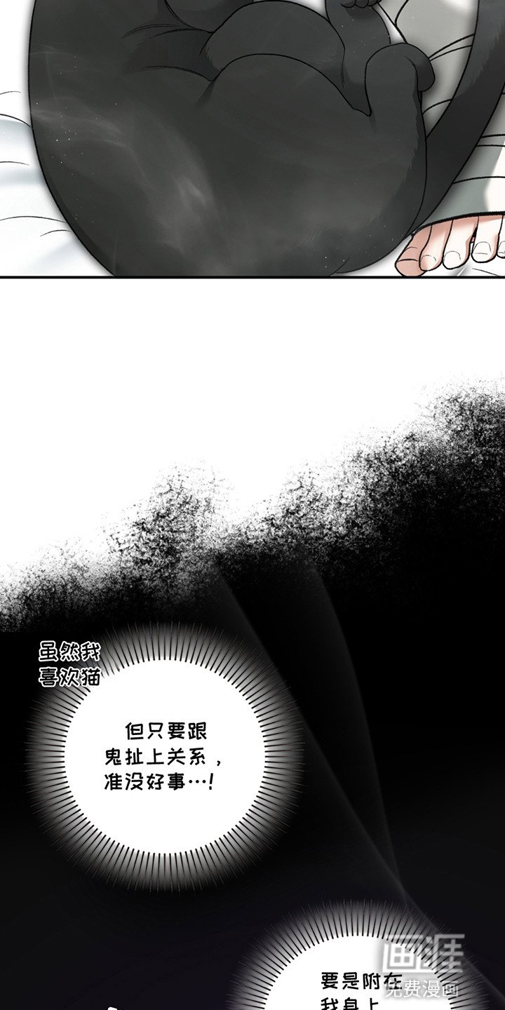 第8章：小黑猫