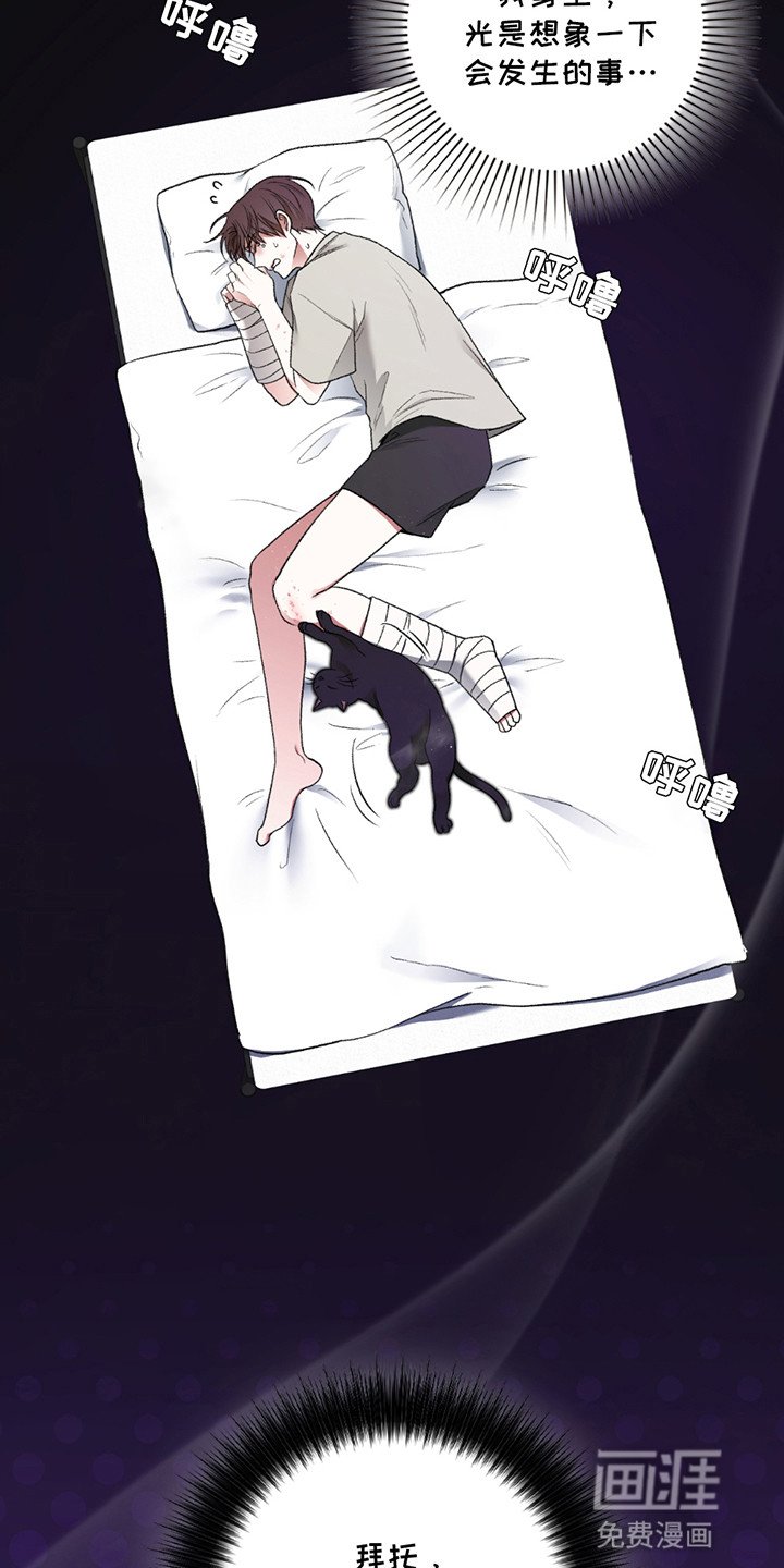 第8章：小黑猫