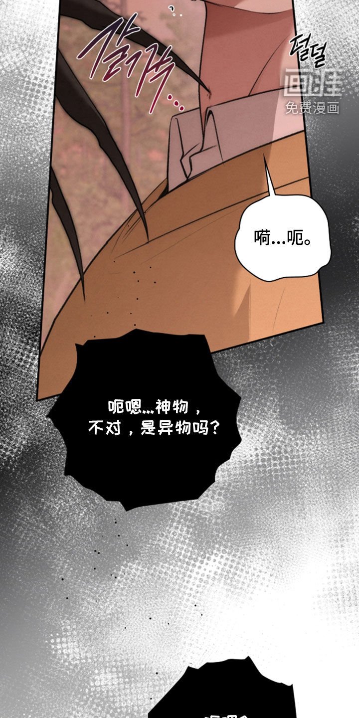 第80章：恶神