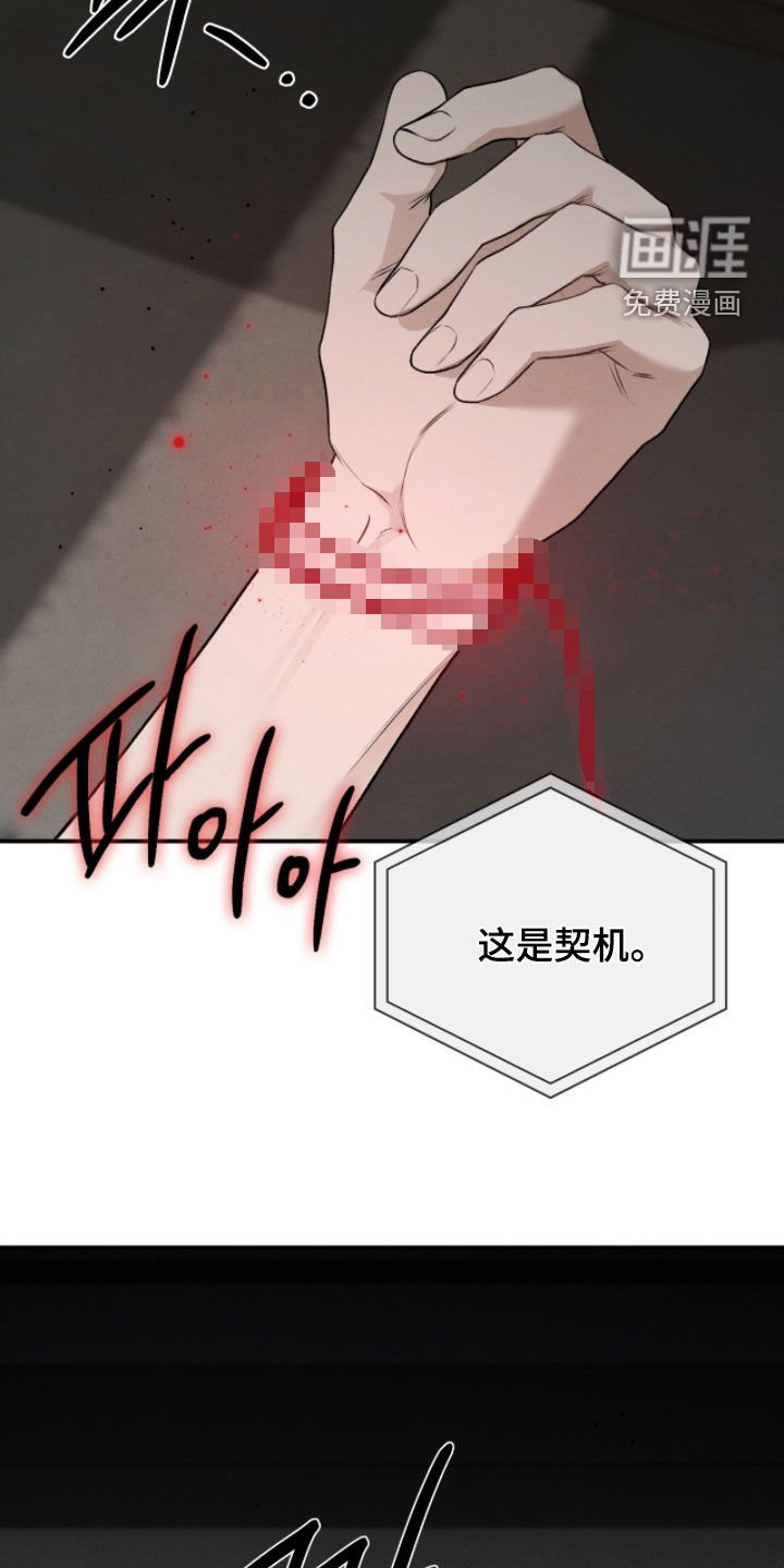 第84章：奇迹和悲剧