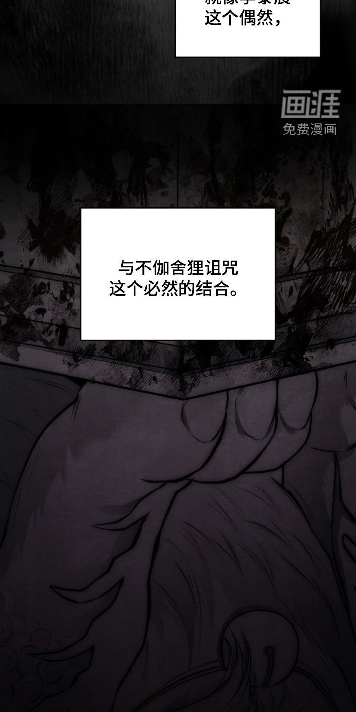 第84章：奇迹和悲剧