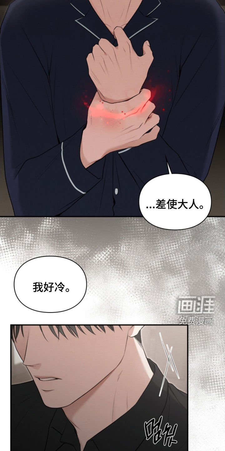 第84章：奇迹和悲剧
