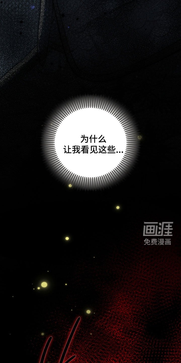 第86章：幻象