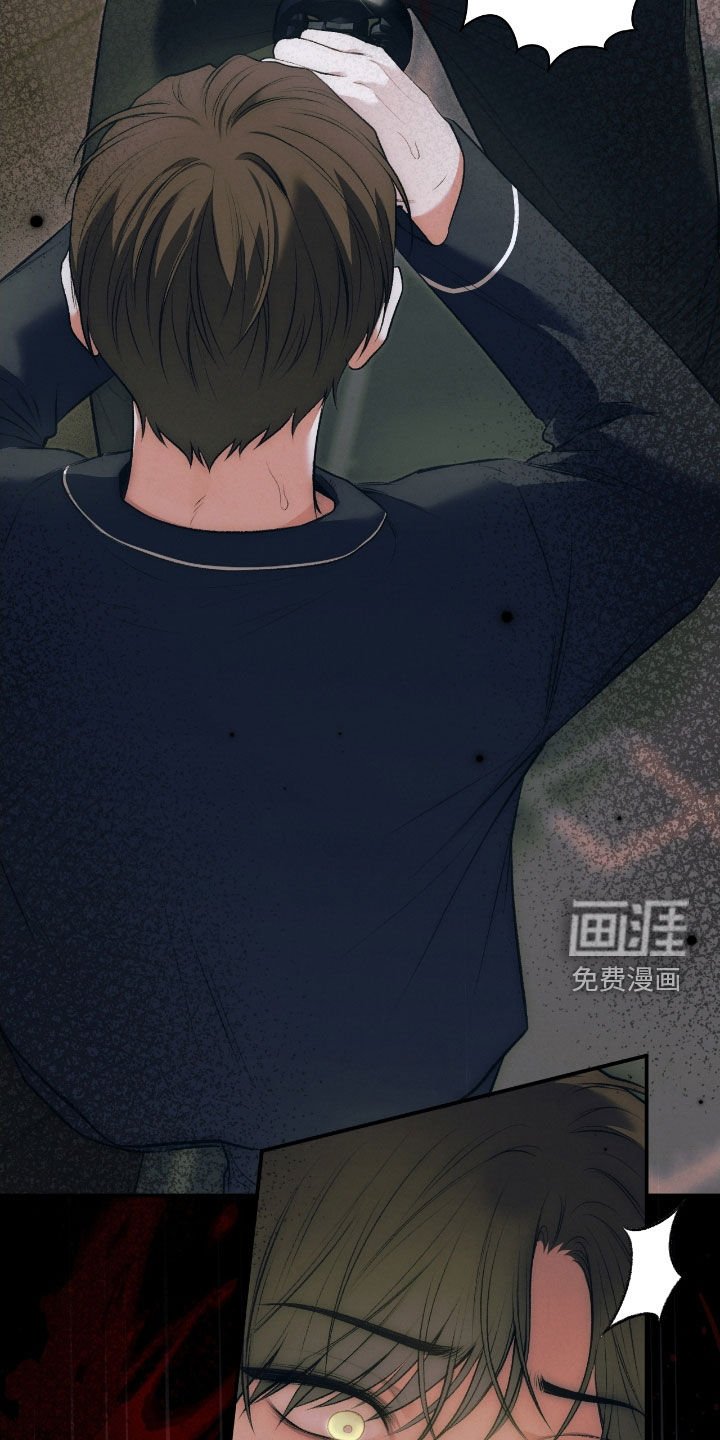 第86章：幻象