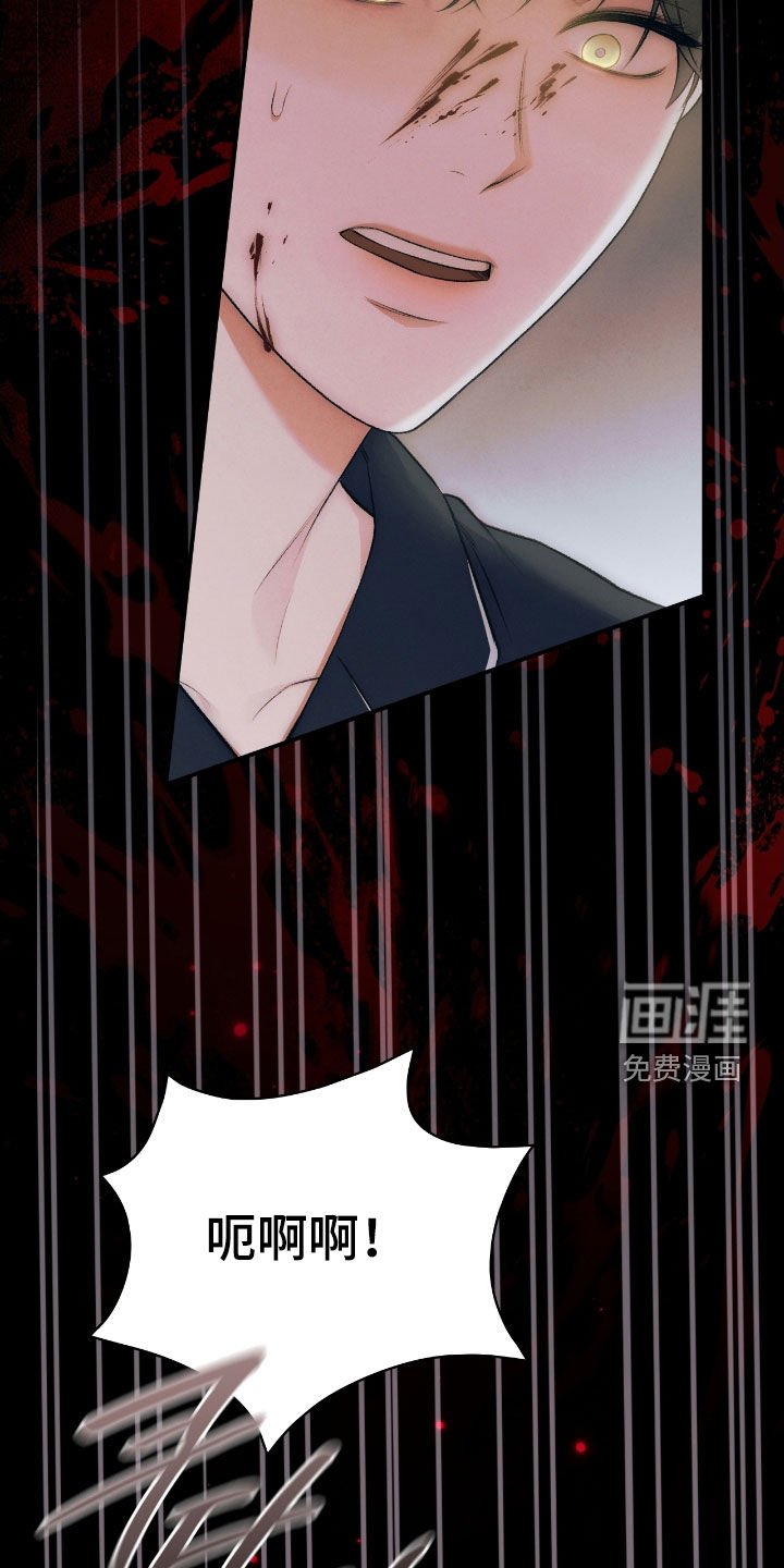 第86章：幻象