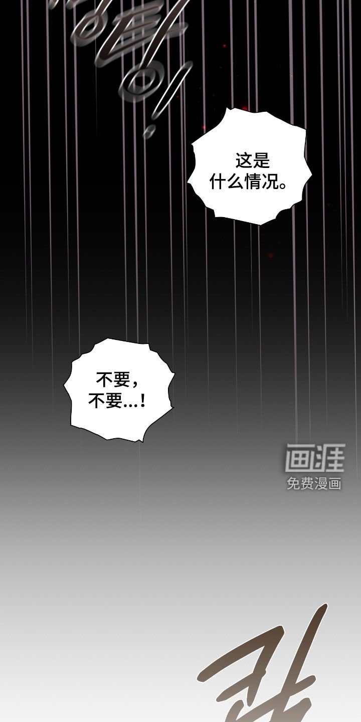 第86章：幻象