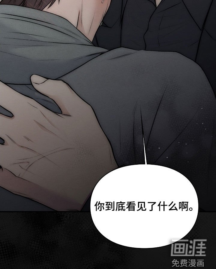 第86章：幻象