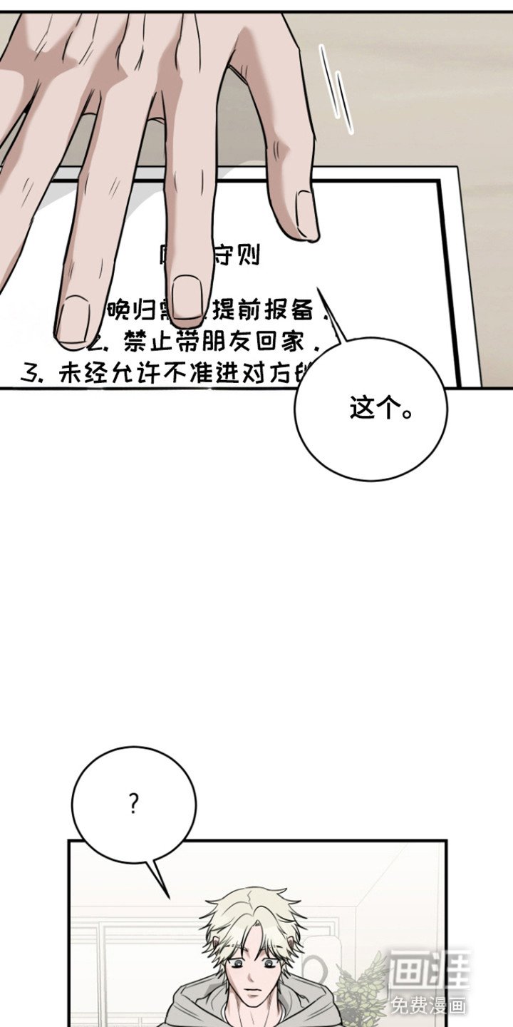 第6章：同居协议