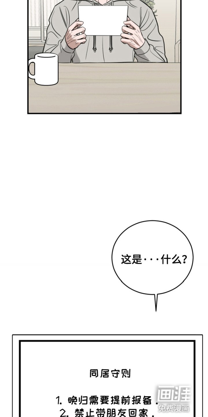 第6章：同居协议