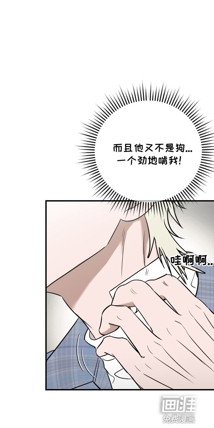 第8章：再次见面