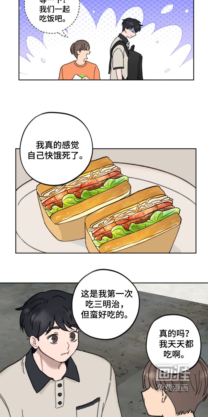 第20章：为什么不回信息