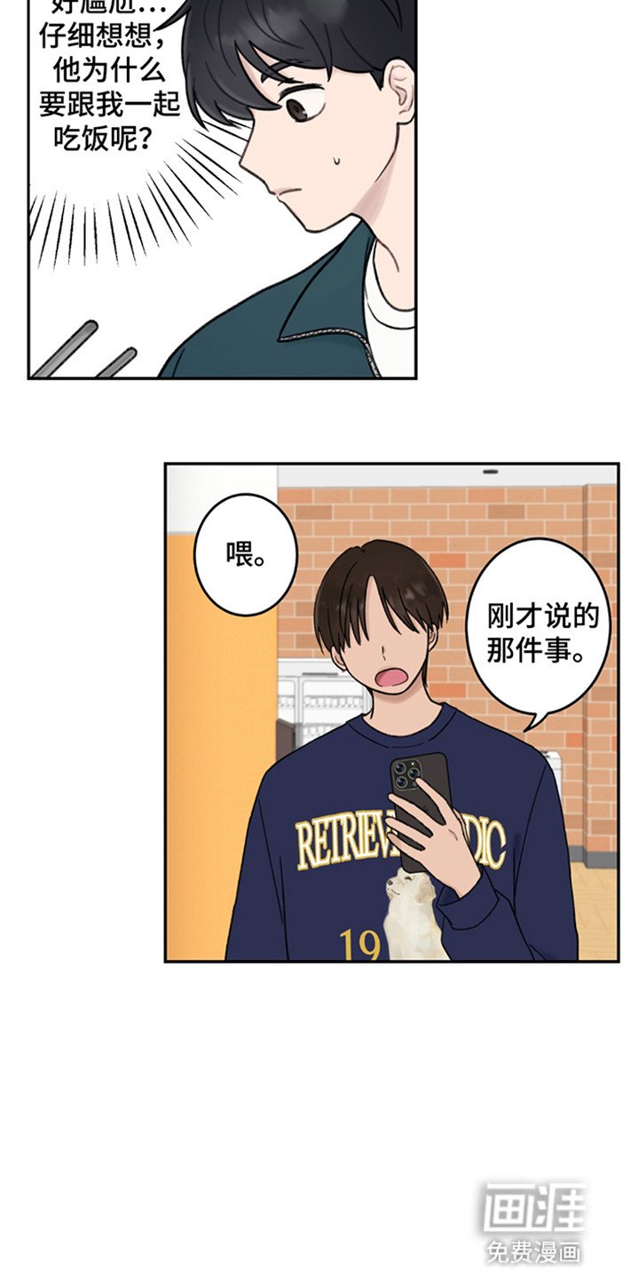 第5章：共同的爱好