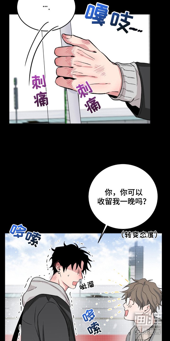 第3章：收留