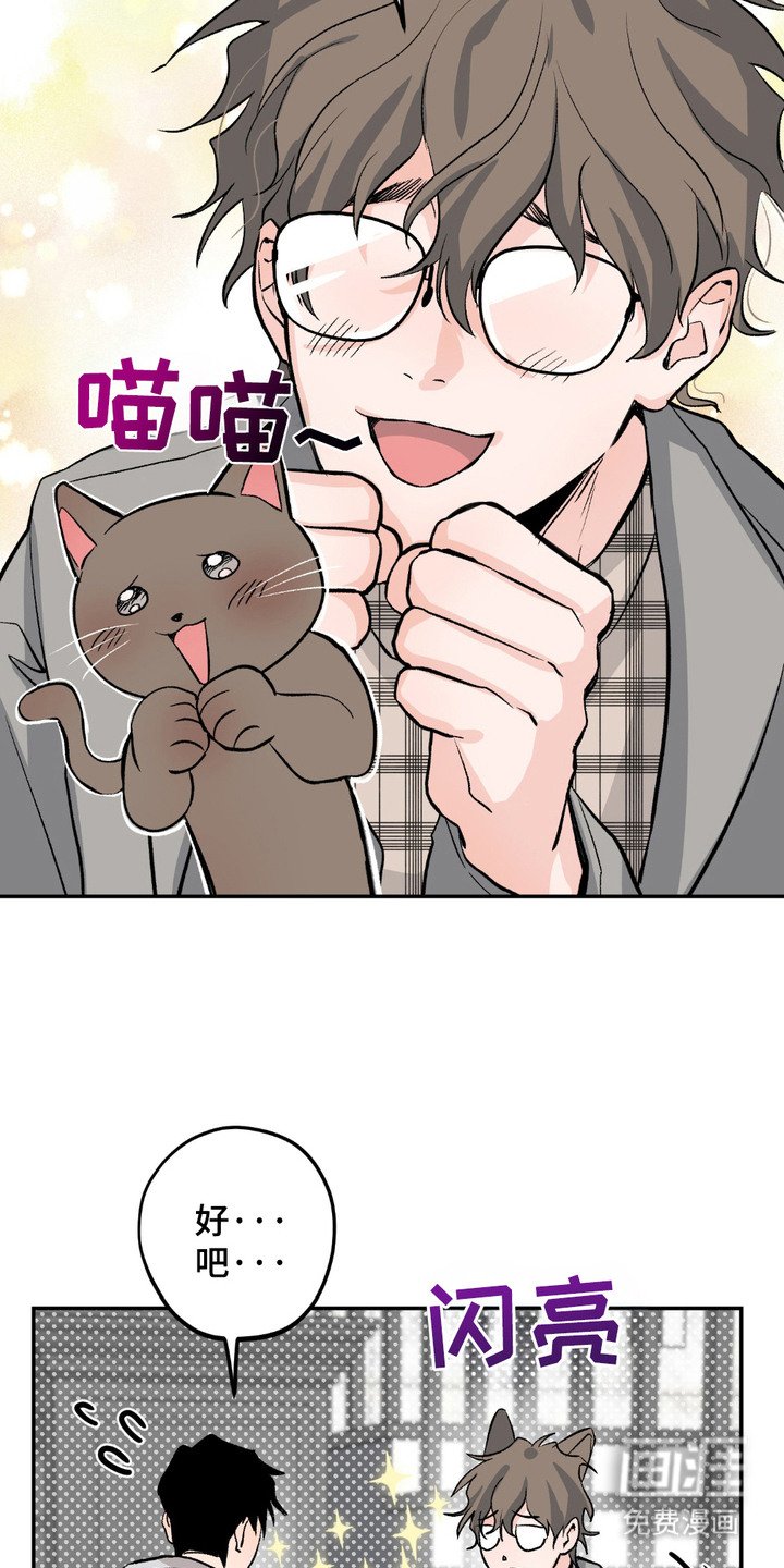 第3章：收留