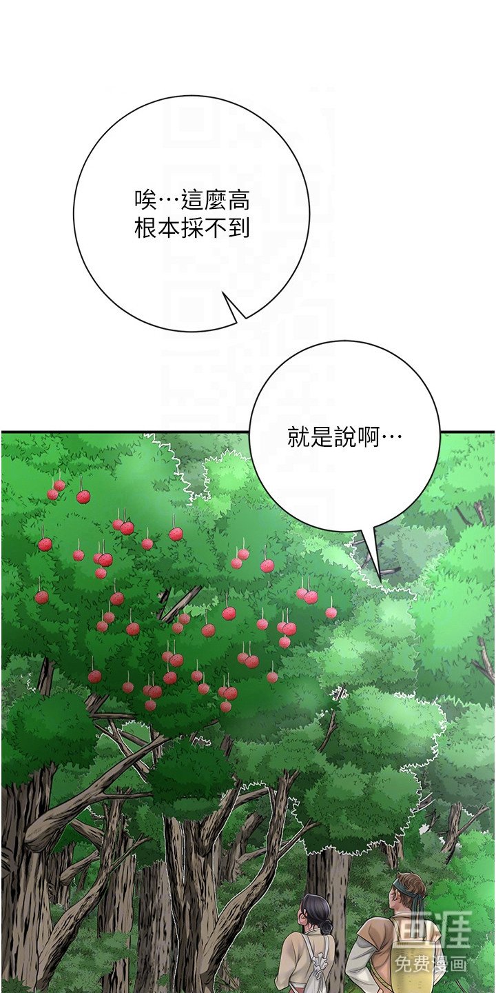 第13章：摘果实