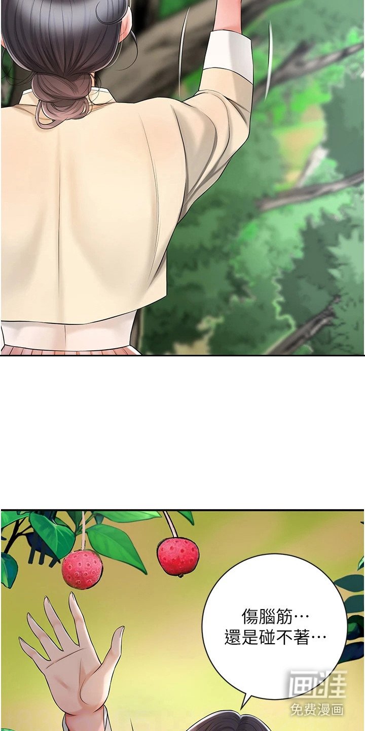 第13章：摘果实