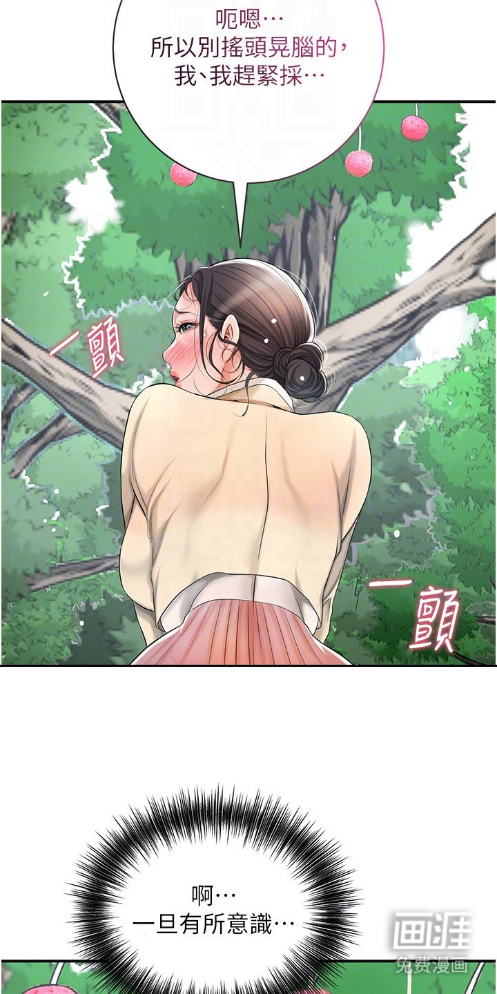 第13章：摘果实