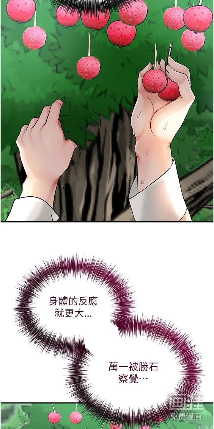 第13章：摘果实