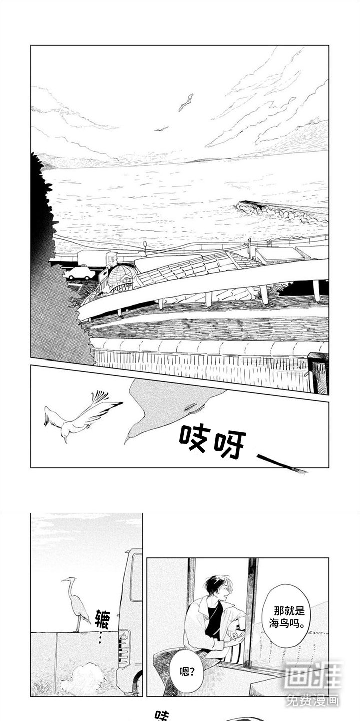 第2章：好可爱
