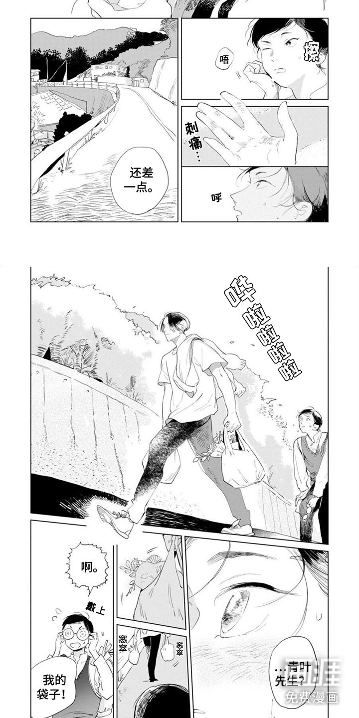 第5章：自愿