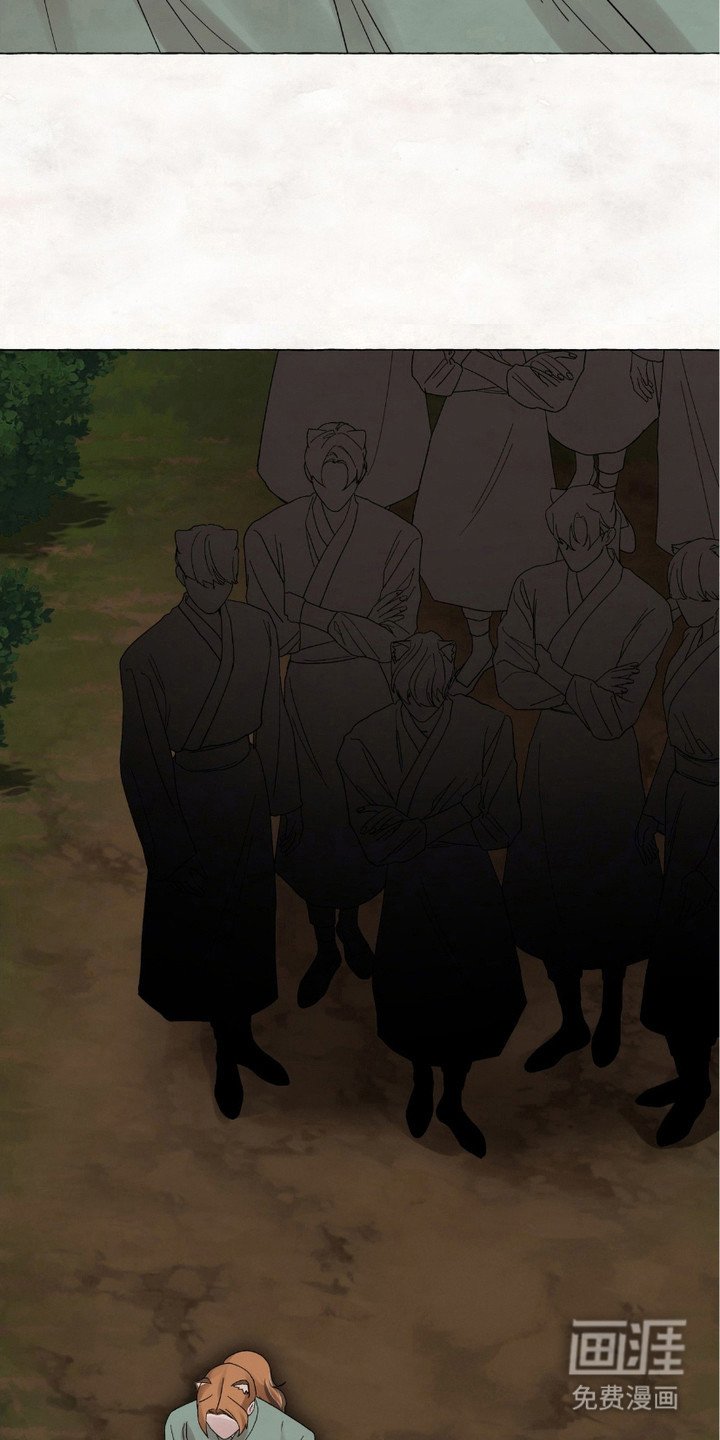 第11章：做决定