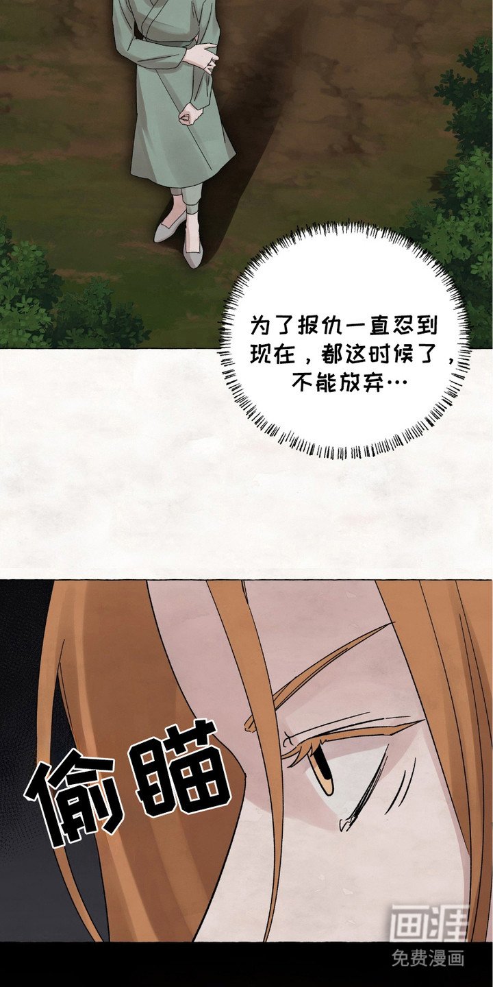 第11章：做决定