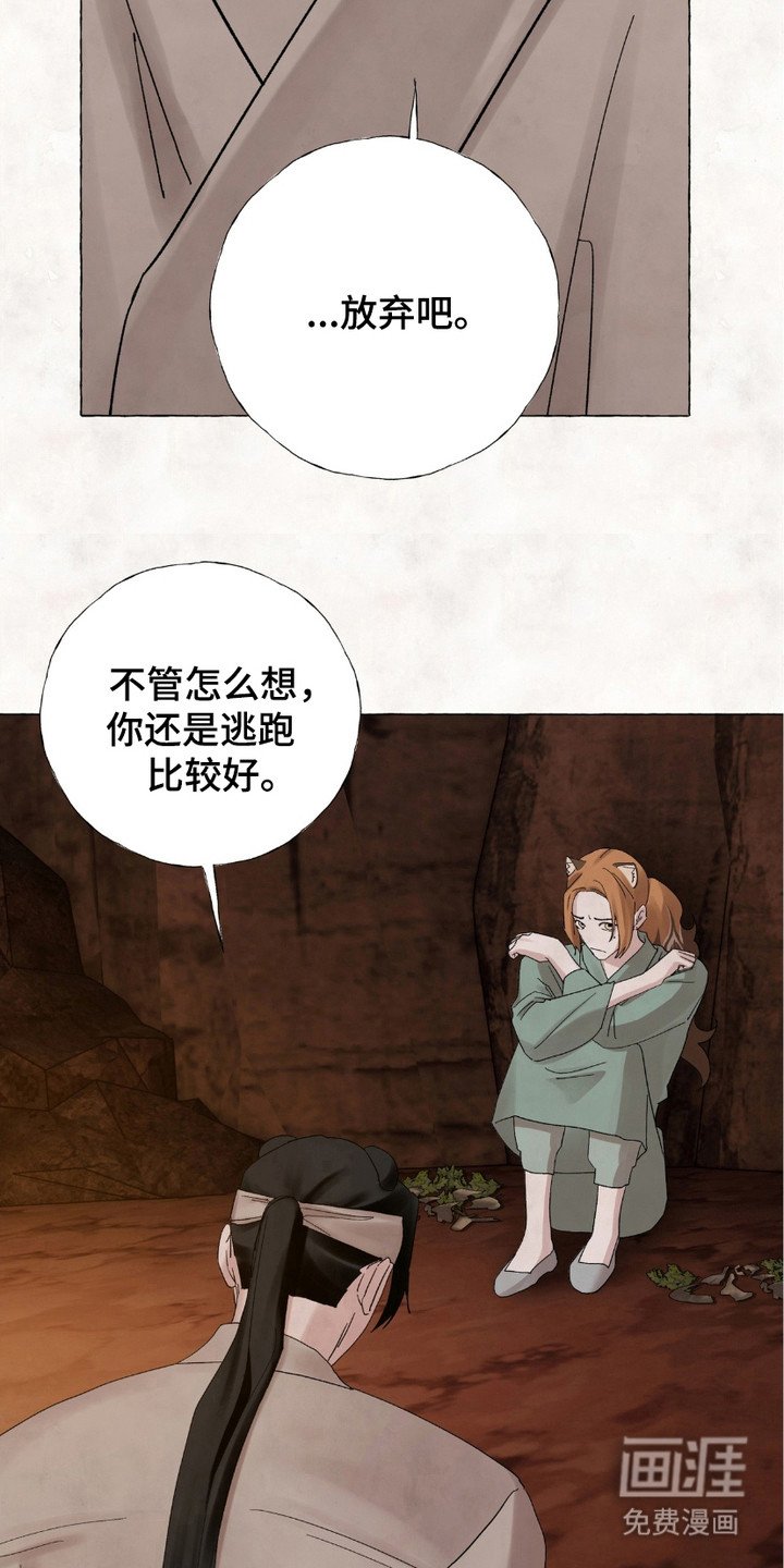 第11章：做决定