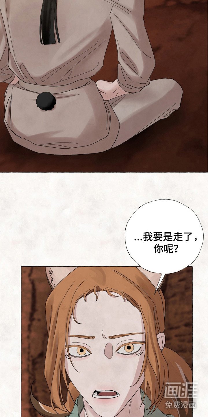 第11章：做决定