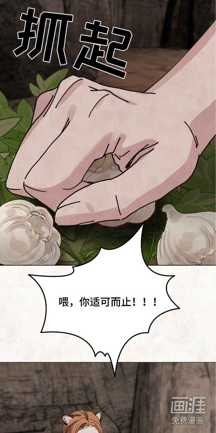 第2章：很失败