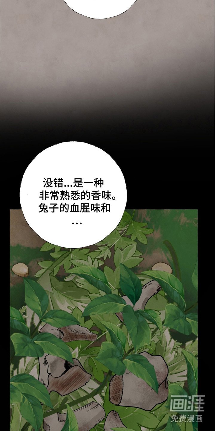 第5章：凶狠