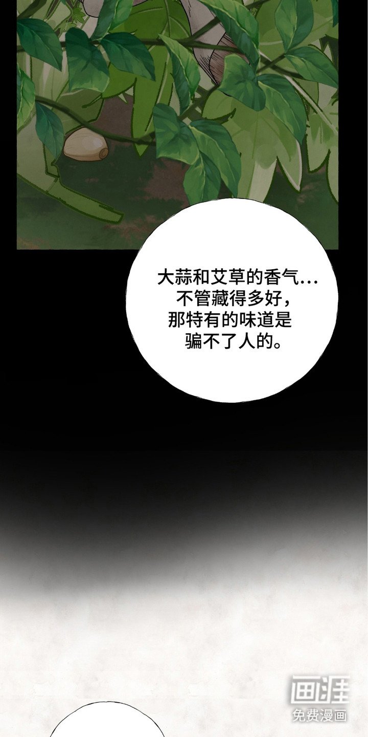 第5章：凶狠