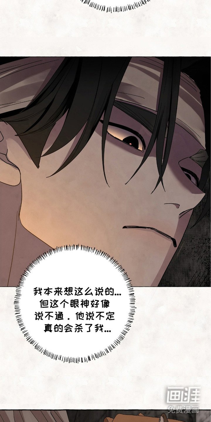 第5章：凶狠