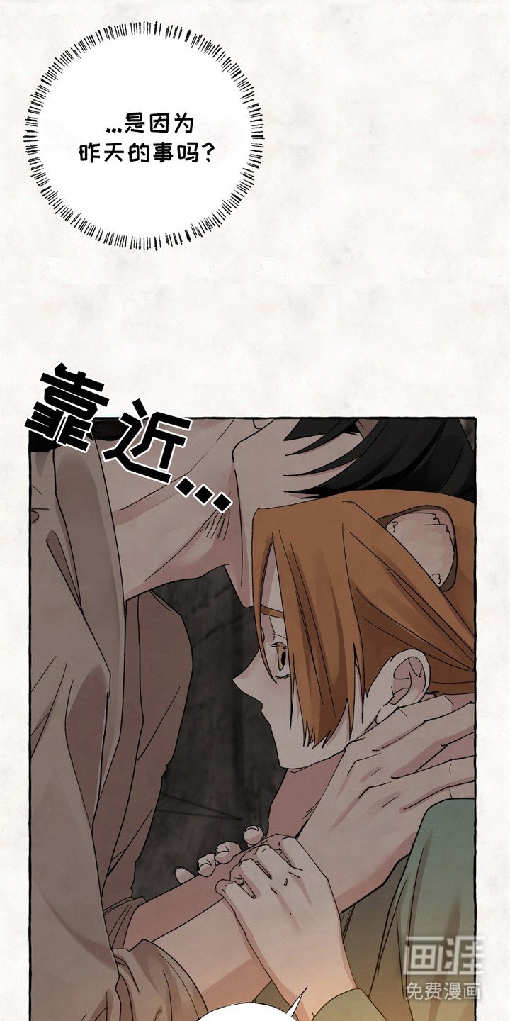 第5章：凶狠