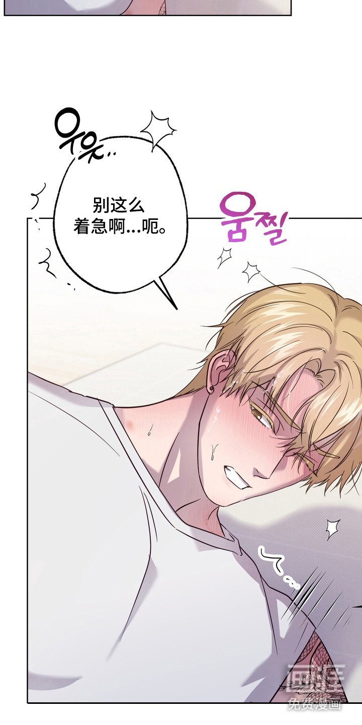 第11章：比一比