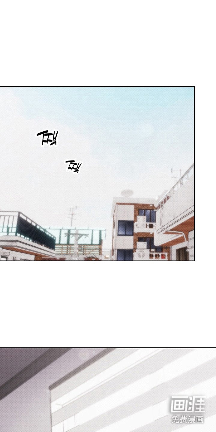 第6章：假药