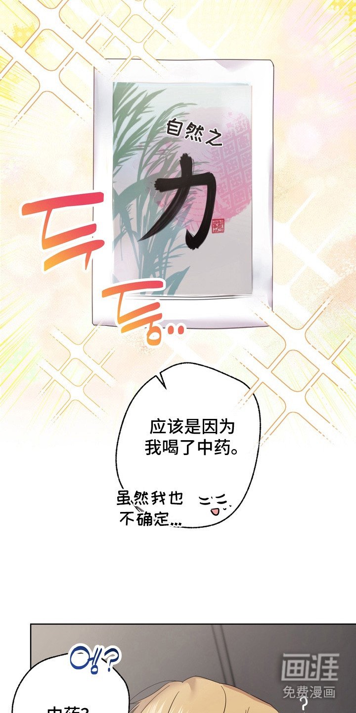 第6章：假药