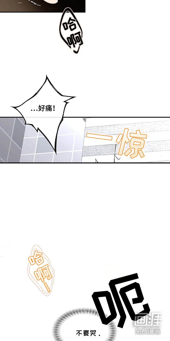 第13章：不相信