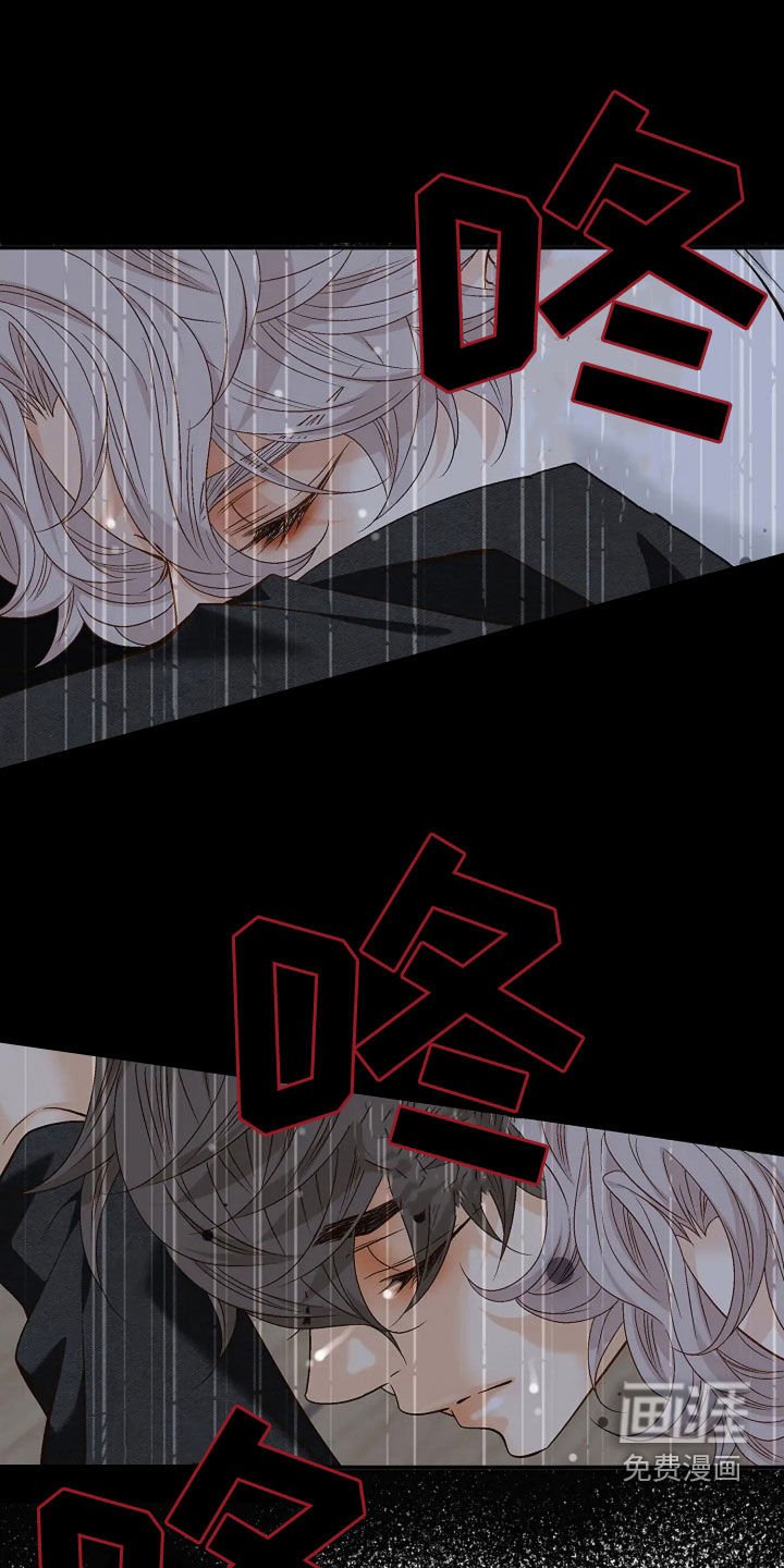 第23章：照片
