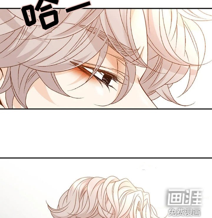 第33章：像傻瓜一样