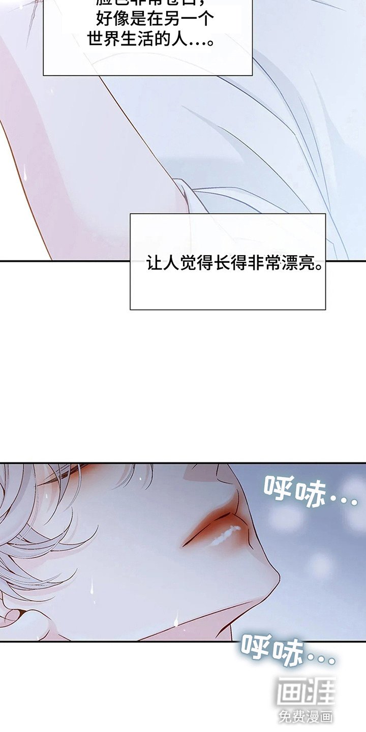 第4章：漂亮的男人