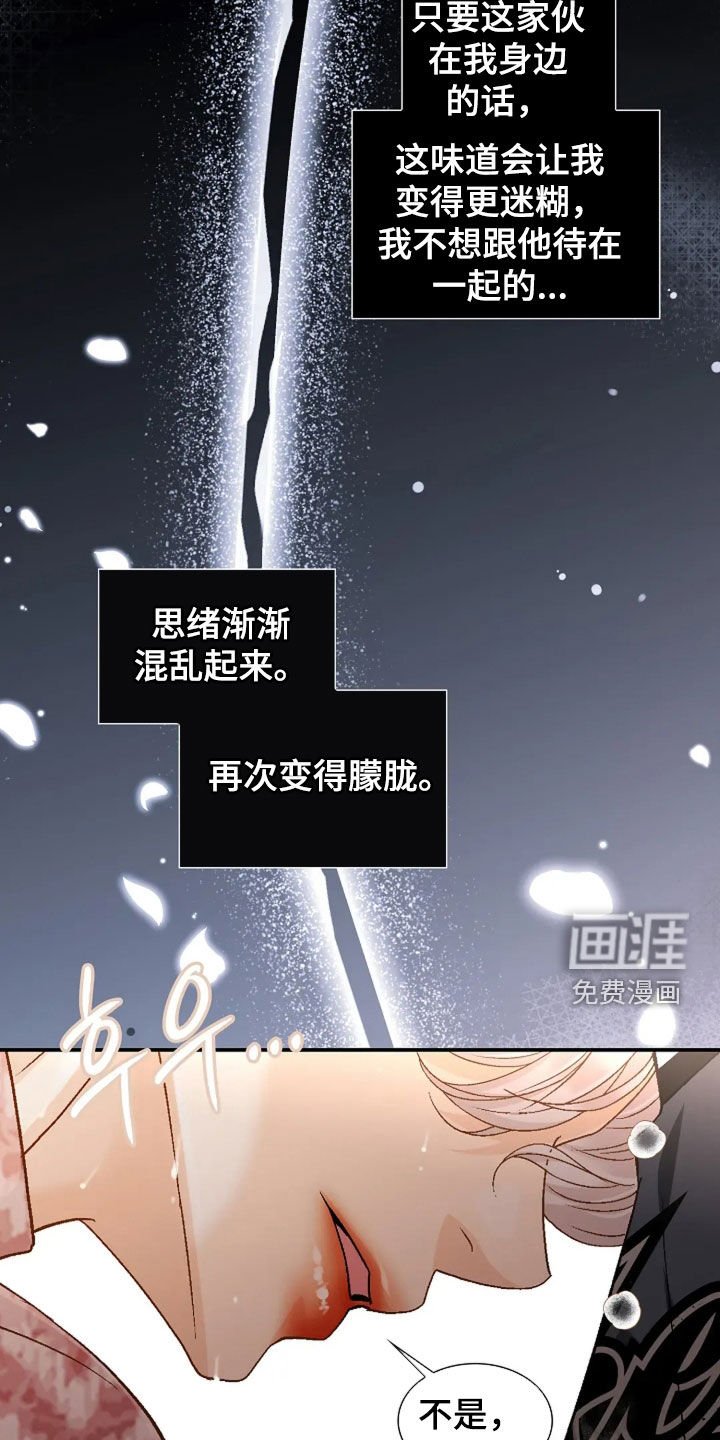 第40章：就试一次