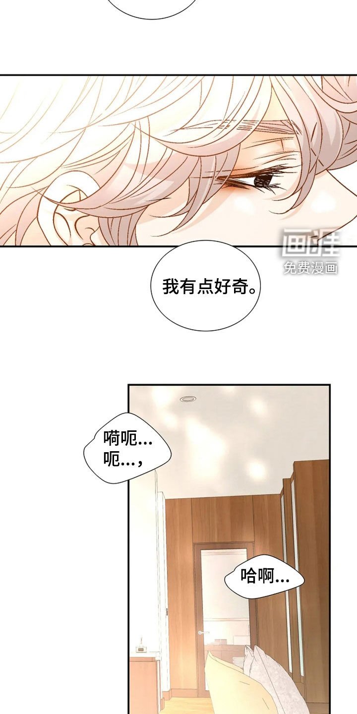 第41章：真的很好奇