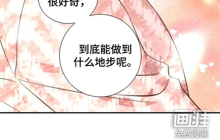 第41章：真的很好奇