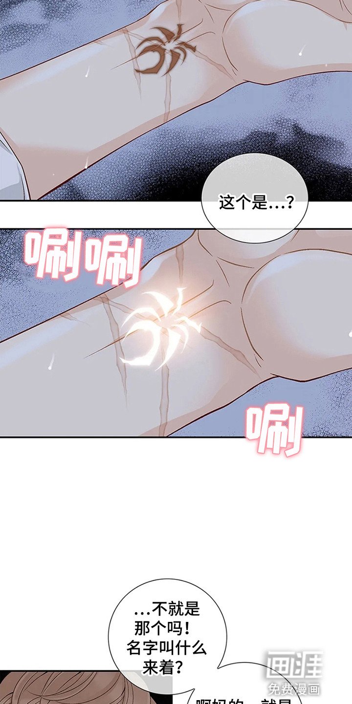 第5章：信号病