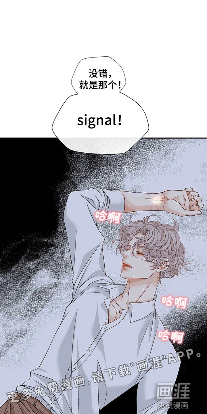 第5章：信号病