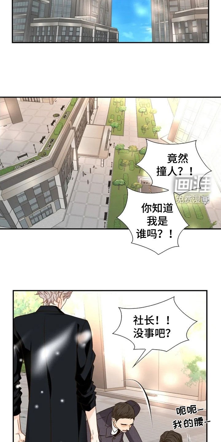 第51章：不会听错了吧